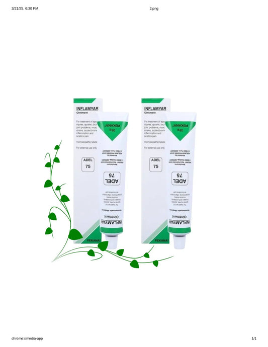 ADEL Germany Homeopathy - ADEL75 Pain Relief Ointment 35 g ADEL Germany Homeopathy
