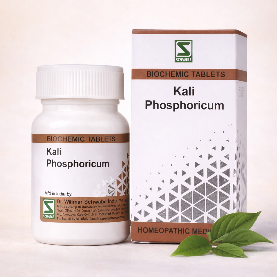 Dr. Schwabe Schuessler Salt Kalium Phosphoricum 6X Tablets 20 g – cell salt for nerve energy and mental fatigue relief