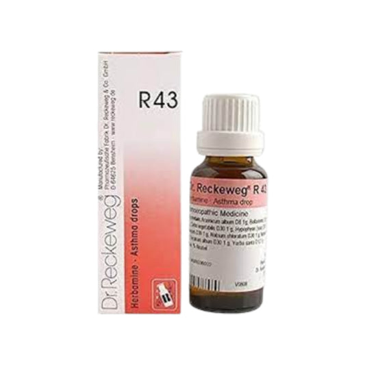 Image for DR. RECKEWEG R43 - Herbamine Asthma Drops 22 ml: Homeopathic remedy for asthma and bronchitis.
