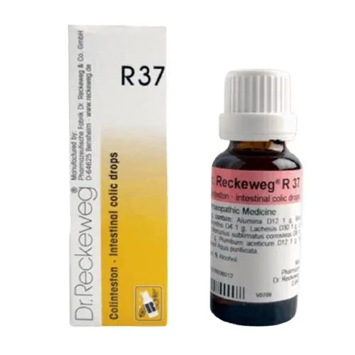 Dr. Reckeweg Germany R37 Colinteston Intestinal Drops 22 ml – homeopathic drops for intestinal cramps and digestive relief