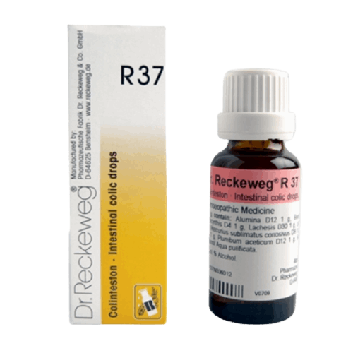 Image for DR. RECKEWEG R37 - Colinteston Drops 22 ml: For abdominal issues, liver problems, and constipation.