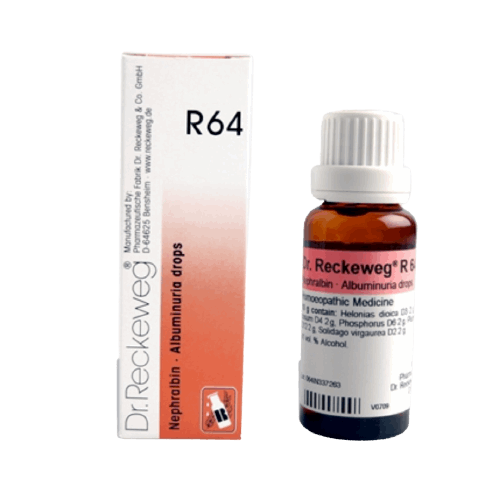 Image: DR. RECKEWEG R64 - Kidney Health Drops 22 ml - A natural remedy for albuminuria, proteinuria, and kidney-related issues.