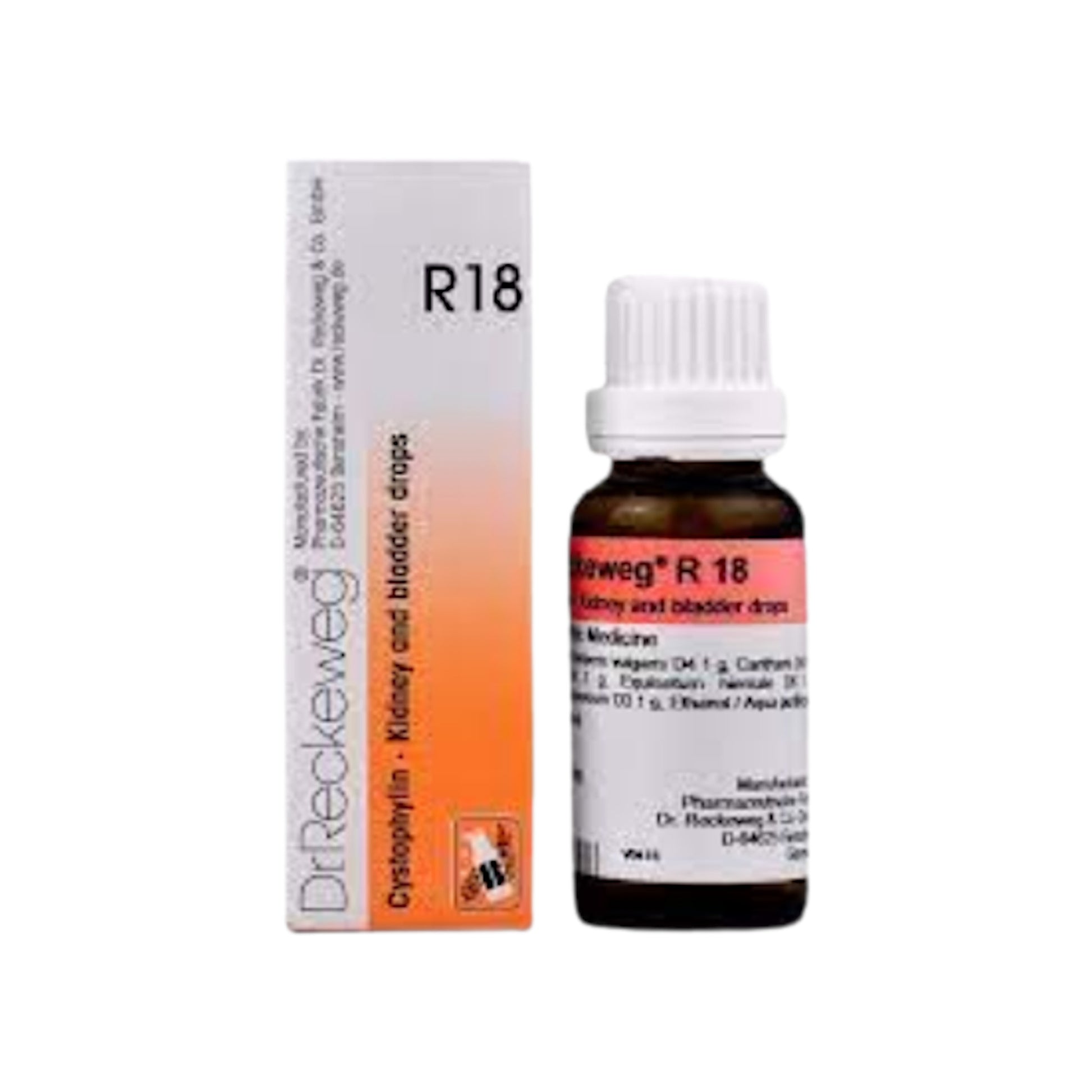 Image for DR. RECKEWEG R18 - Kidney and Bladder Drops: Homeopathic remedy for kidney and bladder issues.