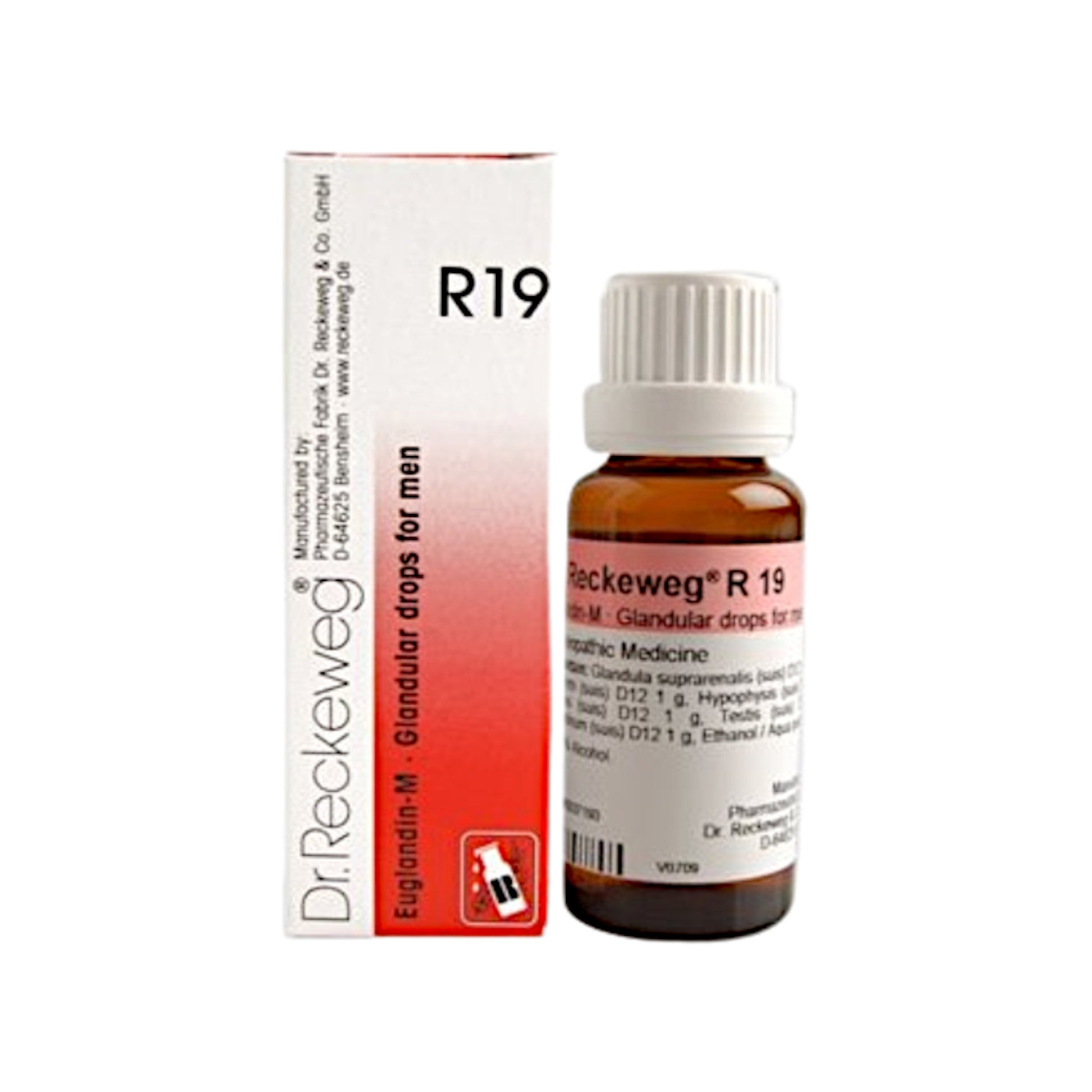 Image for DR. RECKEWEG R19 - Euglandin M Glandular Drops: Homeopathic remedy for endocrine disorders and glandular imbalances in men.